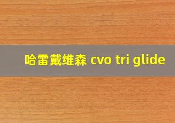 哈雷戴维森 cvo tri glide